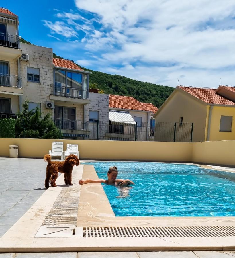 Anja & Ogo Apartments Sea View & Pool Petrovac Buitenkant foto